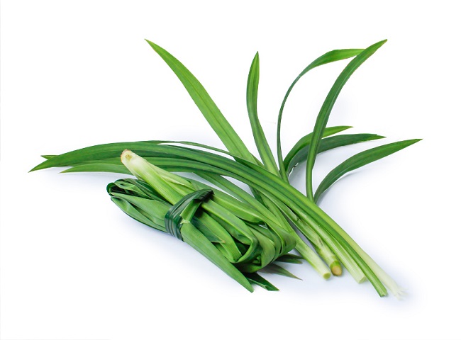 Giải m&atilde; giấc mơ thấy 2 con ch&oacute; cắn