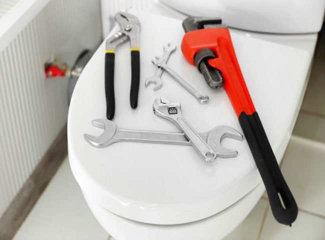 Những loại bồn cầu được d&ugrave;ng phổ biến nhất hiện nay